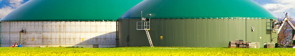 Biogasanlage im Rapsfeld