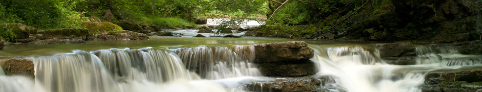 Fluss im Wald (Schlichemklamm)